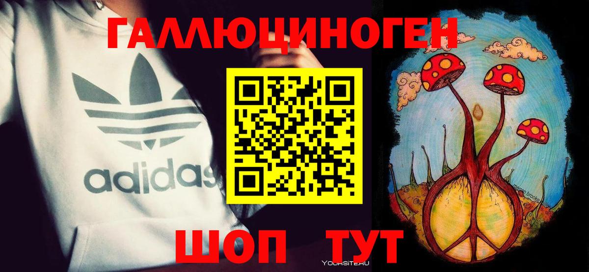 Псилоцибиновые грибы Psilocybine cubensis Верхняя Салда